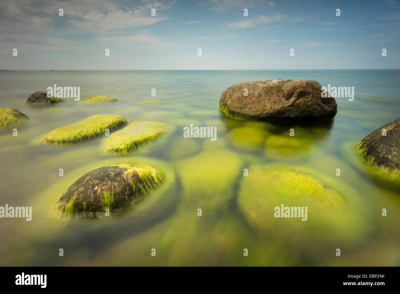 Steinen bedeckt mit Algen in der Ostsee, Deutschland, Mecklenburg-Vorpommern, Ostsee, Hiddensee Stockfoto