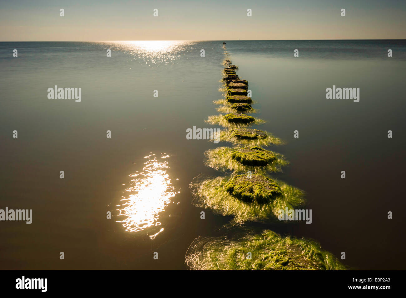Leiste in der Ostsee an die untergehende Sonne, Hiddensee, Ostsee, Mecklenburg-Vorpommern, Deutschland Stockfoto
