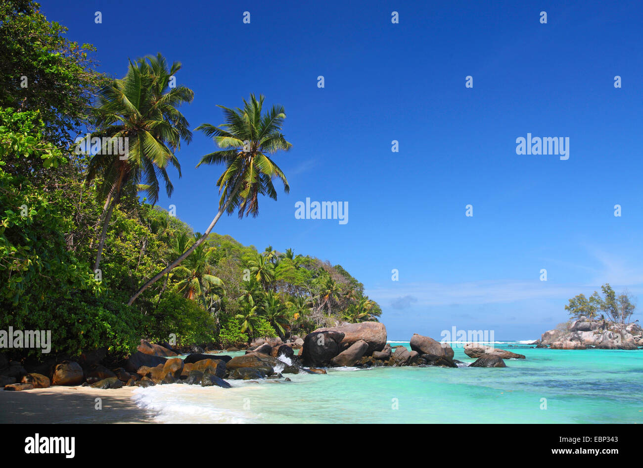 Granitfelsen und Palmen am Strand Anse Forbans, Seychellen, Mahe Stockfoto