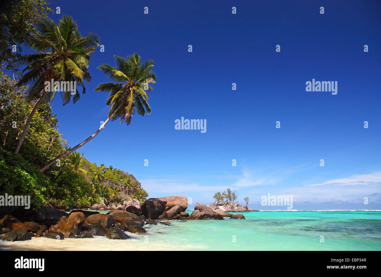 Granitfelsen und Palmen am Strand Anse Forbans, Seychellen, Mahe Stockfoto