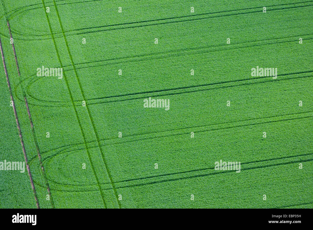 Luftbild auf Bahnen in einem Feld, Deutschland Stockfoto