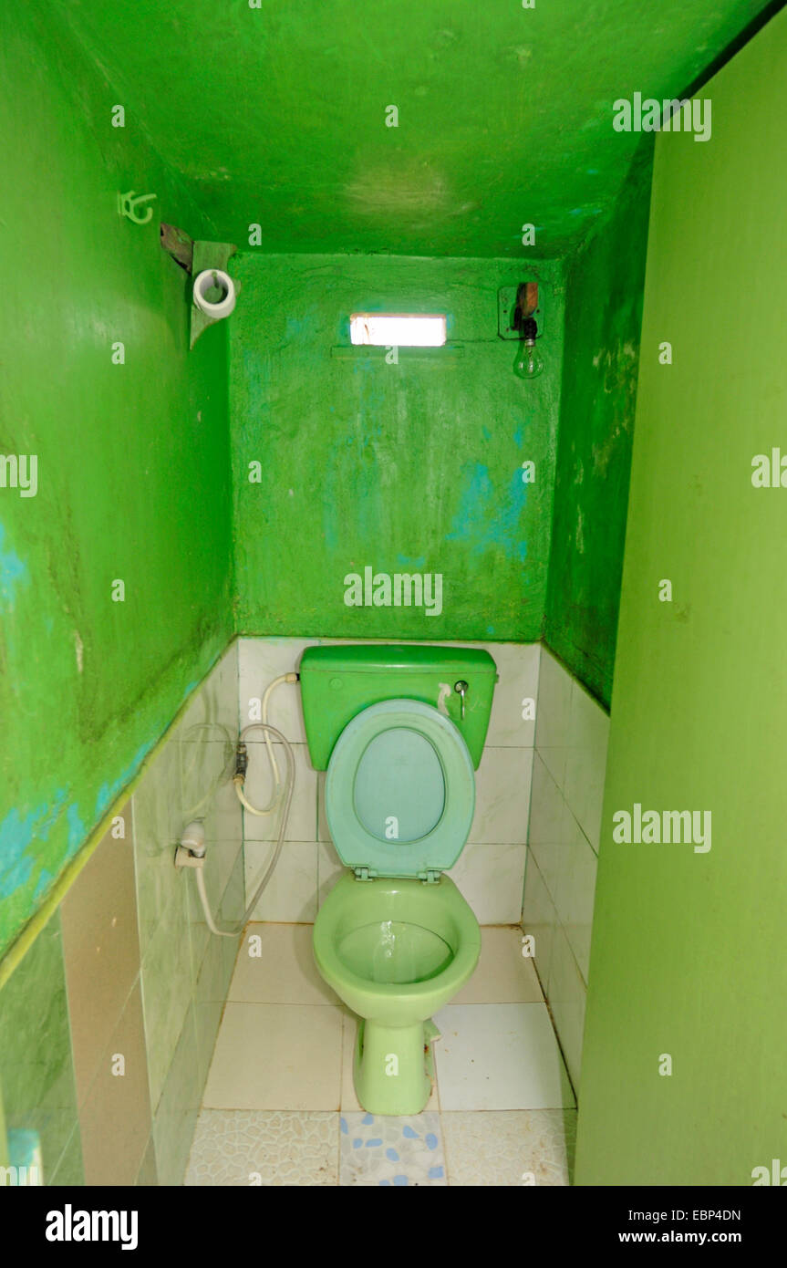 Туалет в грине. Зеленый унитаз. Туалет с зеленым унитазом. Туалет зеленого цвета краска.