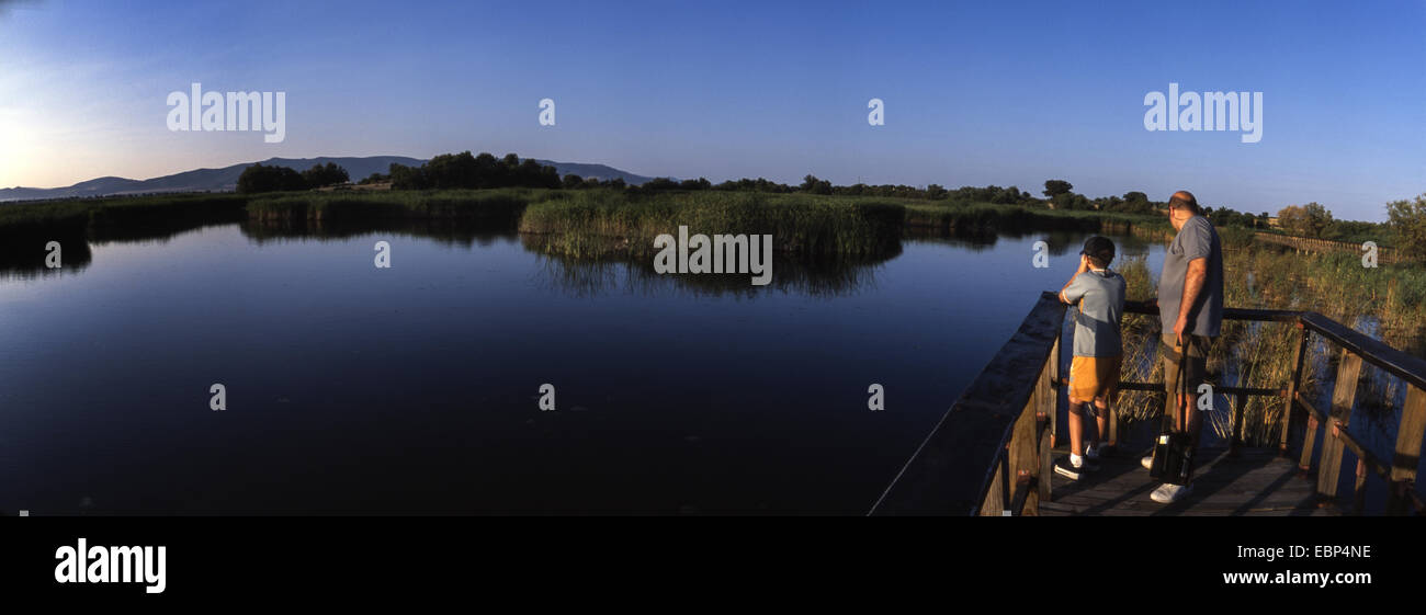 Stege über Lagunen. Las Tablas de Daimiel Nationalpark. Ciudad Real. Spanien. Stockfoto