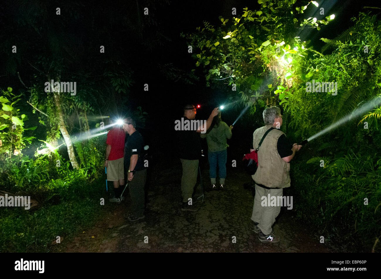 Nachtwanderung mit Fackeln in den Wald, Sri Lanka Stockfoto