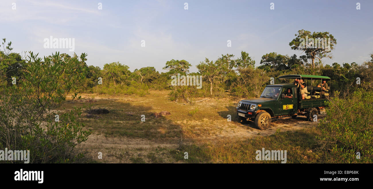 Safari-Jeep mit Wildlife-Fotografen in Wildnis, Sri Lanka, Wilpattu Nationalpark Stockfoto