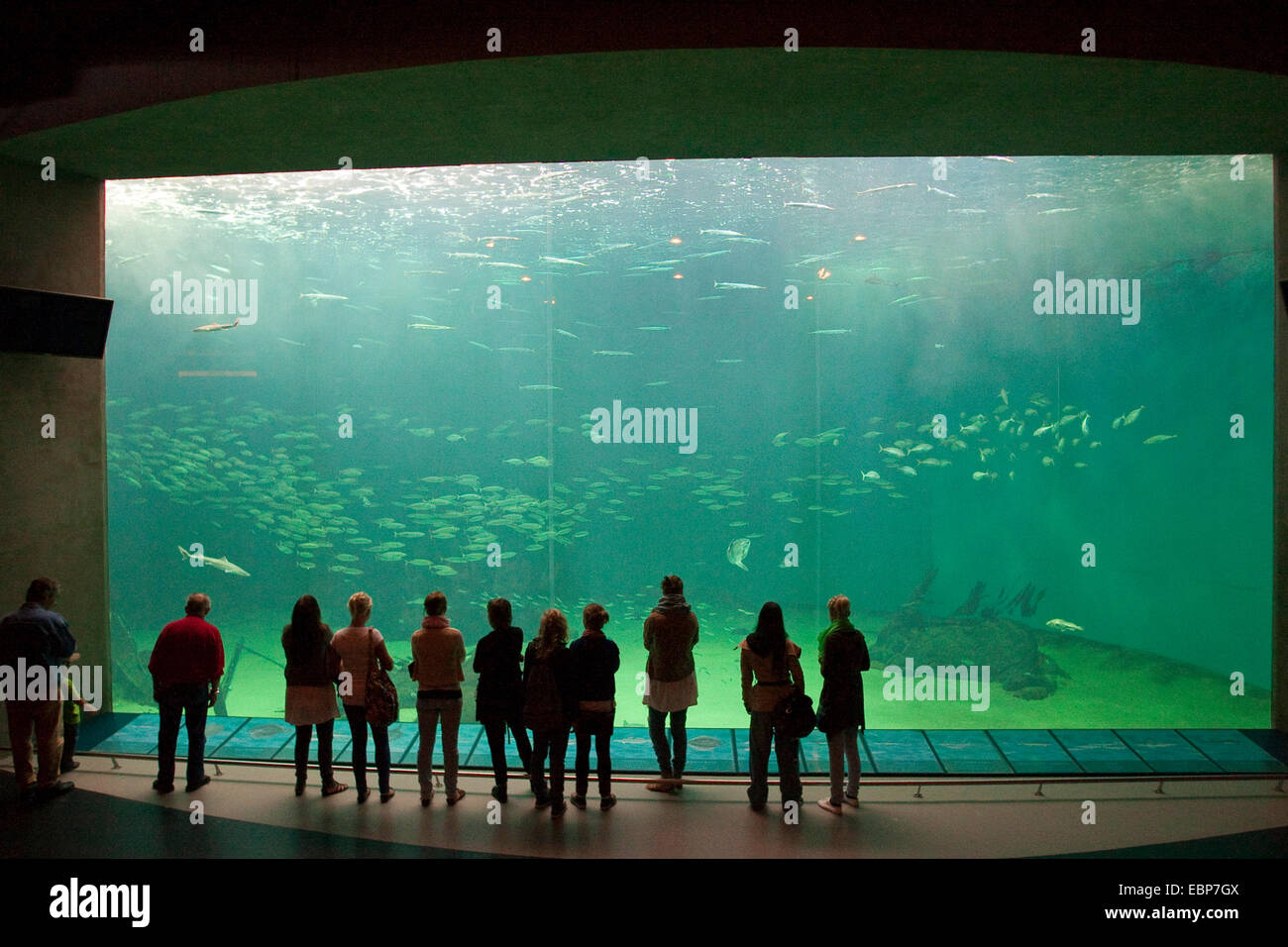 Urlauber, die auf riesige Aquarium Stockfoto