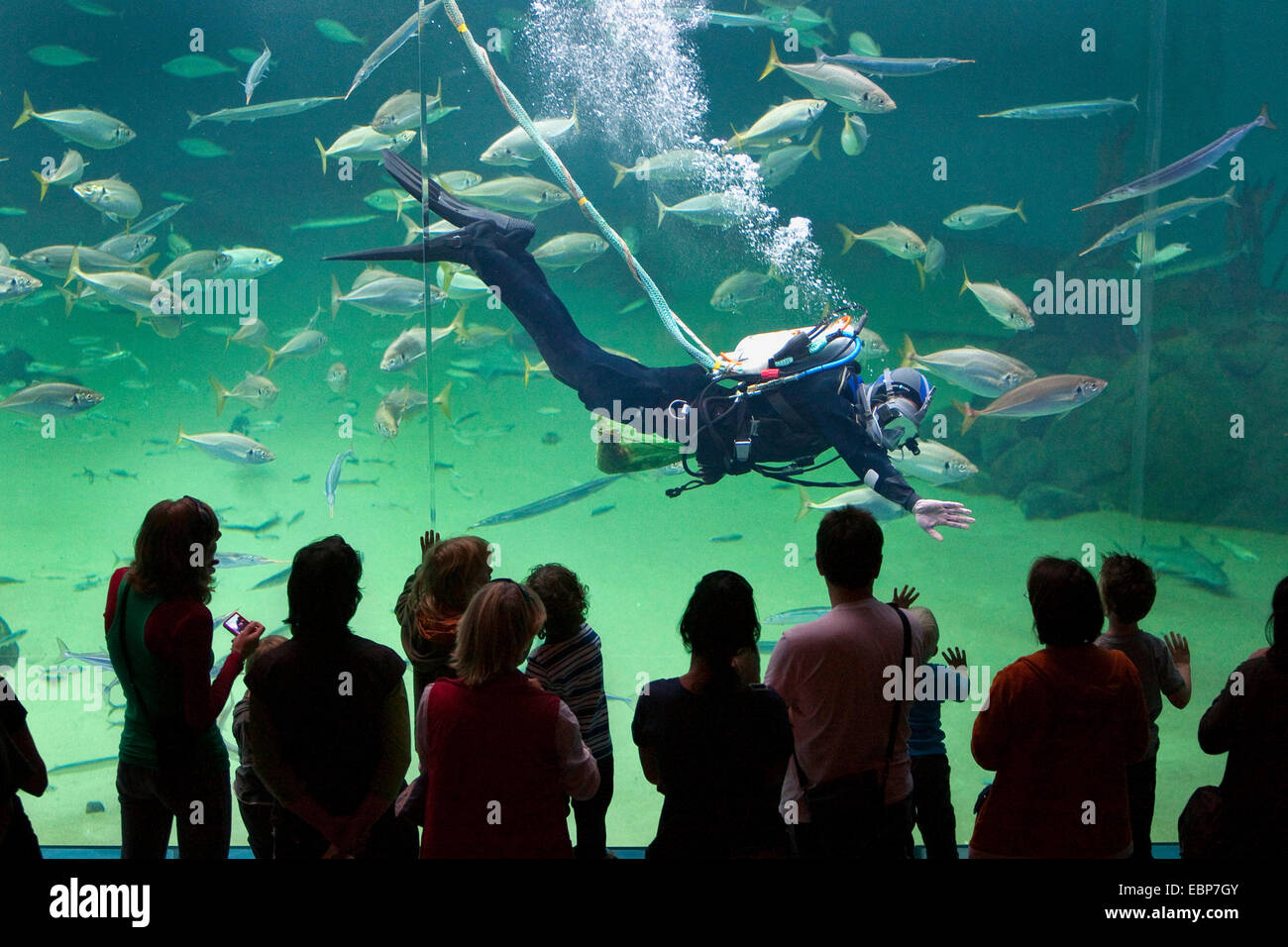 Urlauber, die auf riesige Aquarium, ein Taucher, die Fütterung der Fische Stockfoto