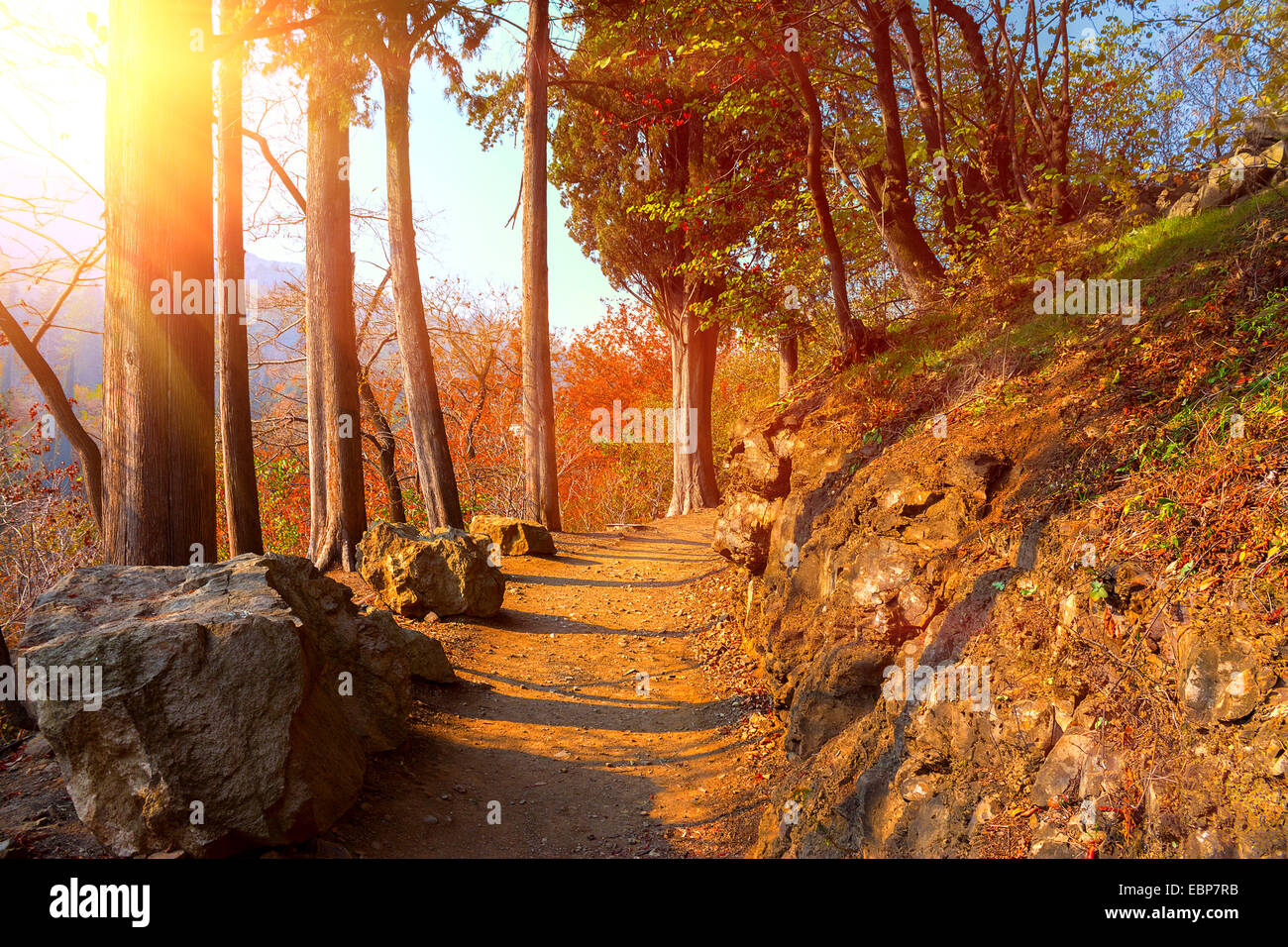 Botanischer Garten in Tiflis im Herbst, Georgia Land Stockfoto