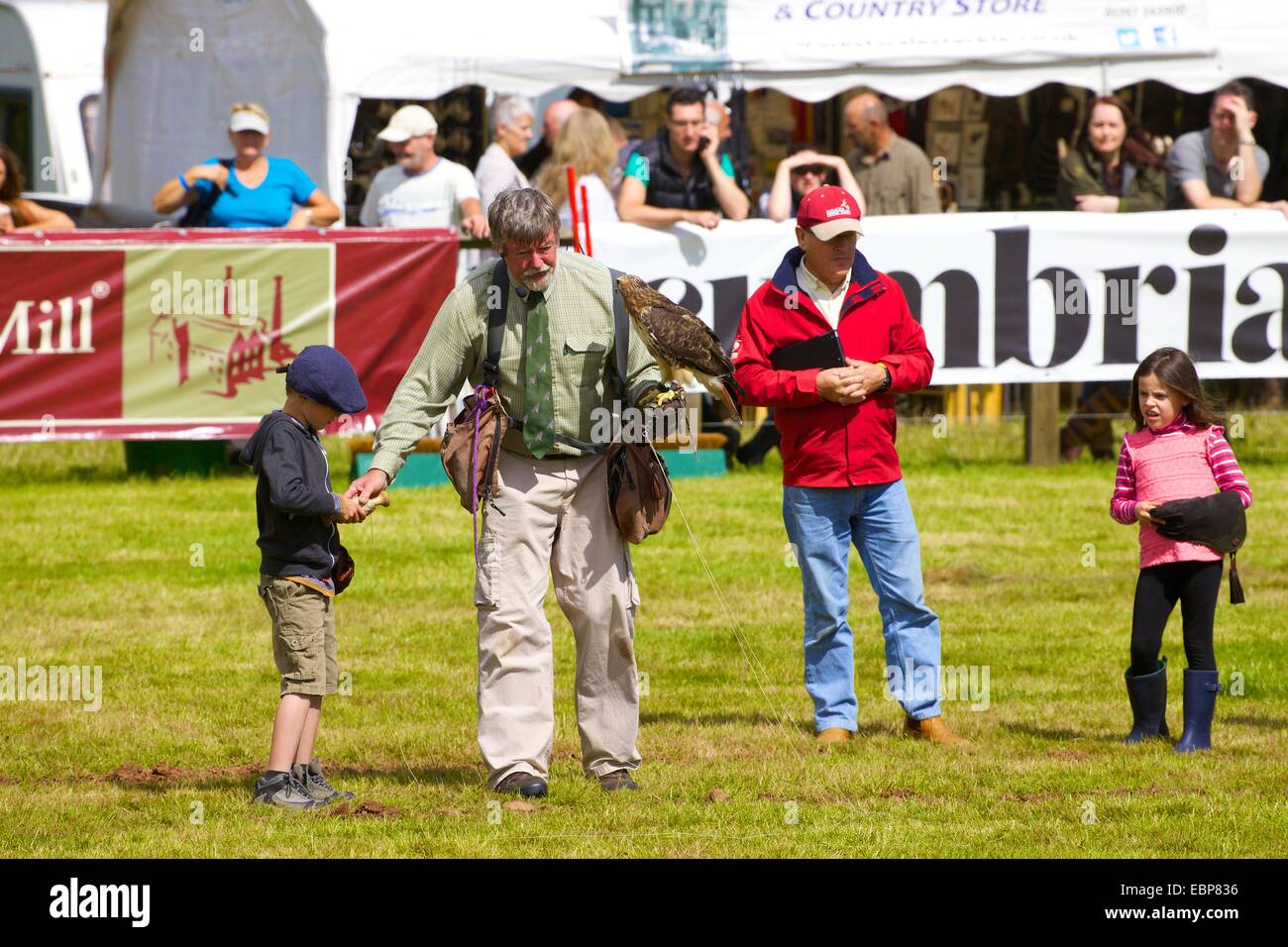 Falknerei Anzeige, Lowther Show, Lowther Estate, Lowther, Penrith, Cumbria UK. Stockfoto