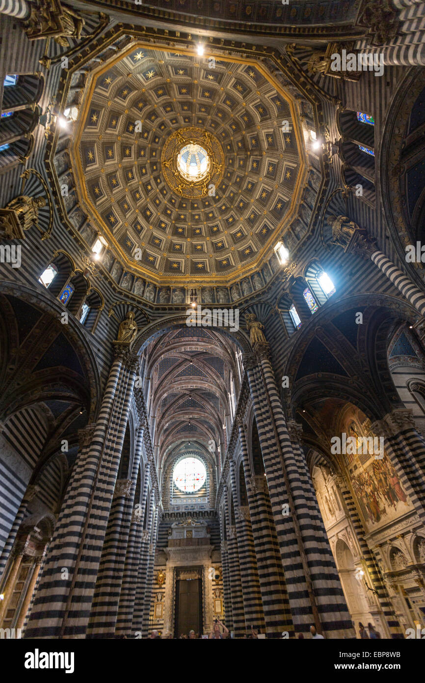 Kirchenschiff und Kuppel vergoldet Bernini Laterne, mit schwarzen und weißen Marmor Streifen an den Wänden und Säulen, der Dom von Siena, Stockfoto