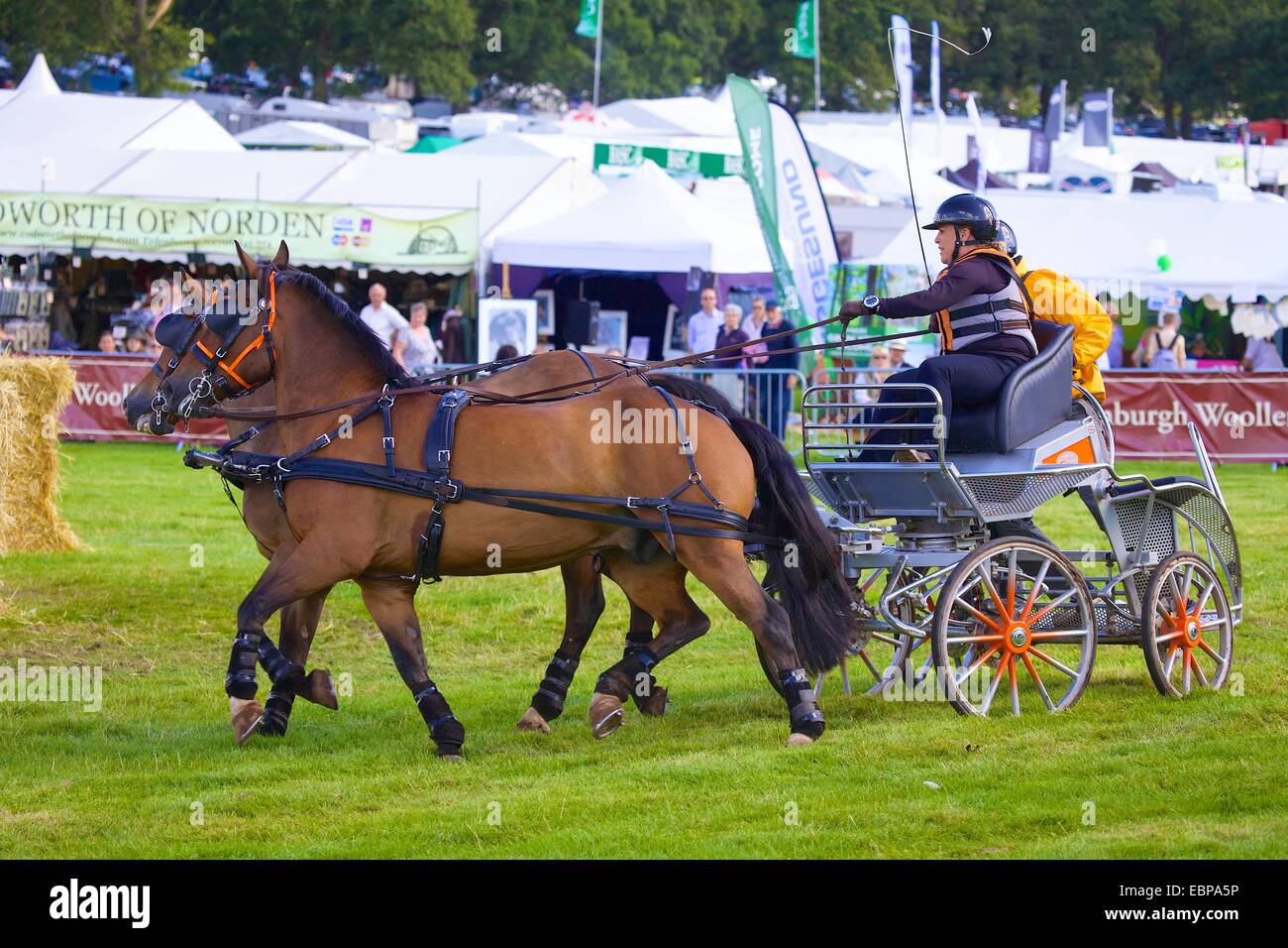 Fahrsport Lowther Horse Driving Trials Lowther Estate Lowther, Penrith, Cumbria. Stockfoto