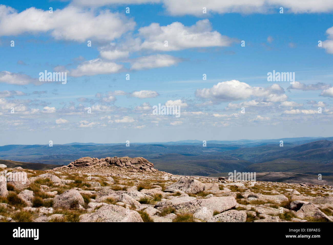 Wald von glenavon Stockfotos und bilder Kaufen Alamy