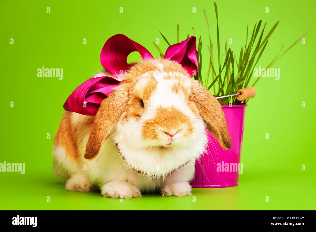 Süße kleine Kaninchen mit Bogen auf grünem Hintergrund Stockfoto
