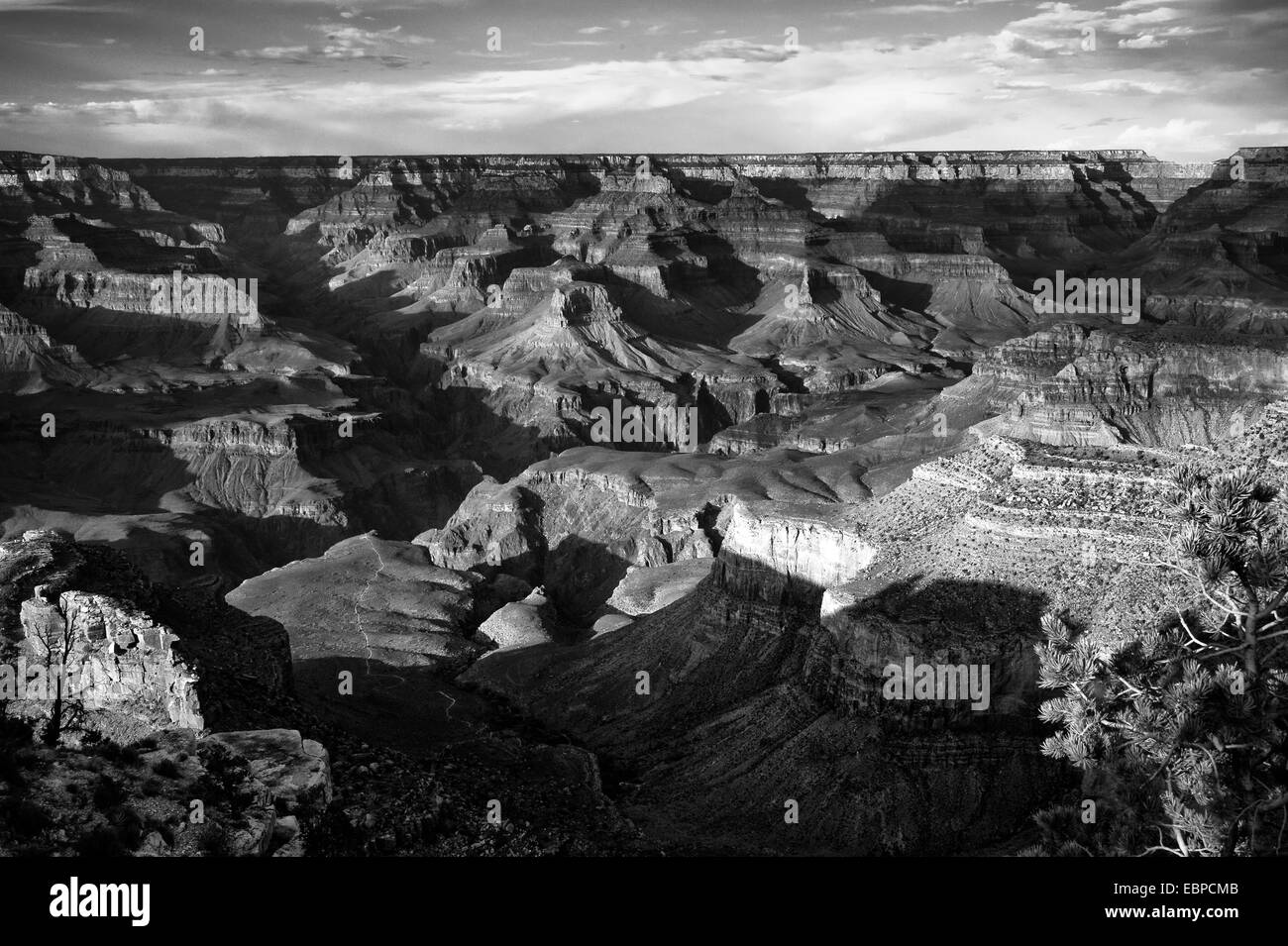 Felsformationen in einem Canyon, der Grand Canyon, Grand Canyon National Park, Arizona, USA Stockfoto