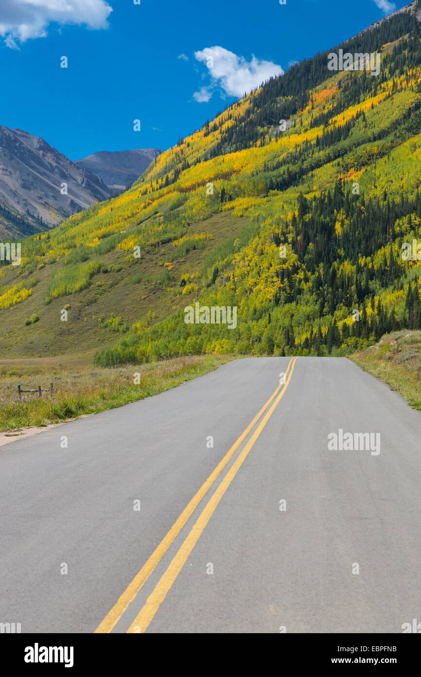 Herbstfarben entlang Burg Creek Road in White River National Forest in der Nähe von Aspen Colorado Stockfoto