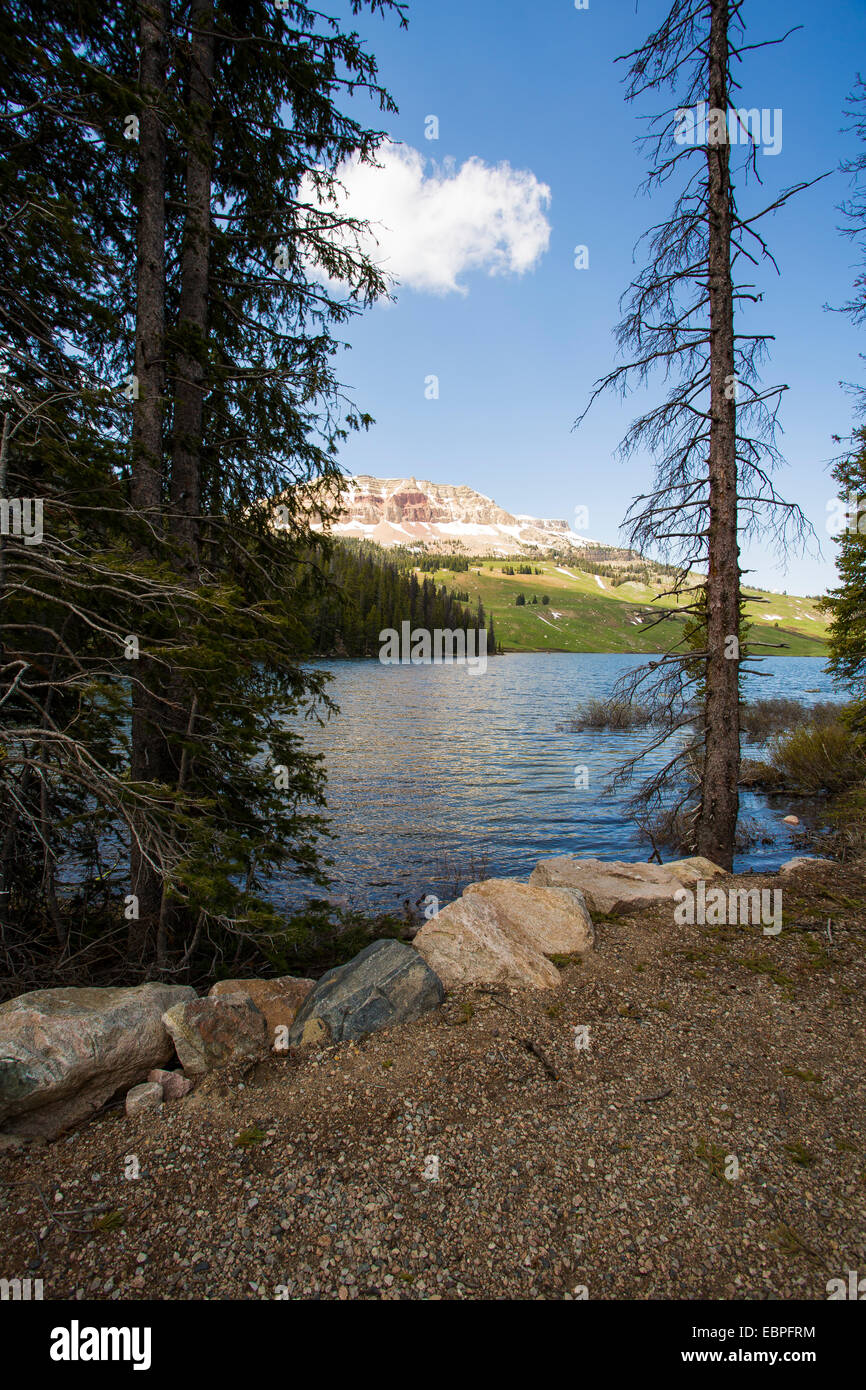 Der Beartooth Pass in Montana und Wyoming Stockfoto