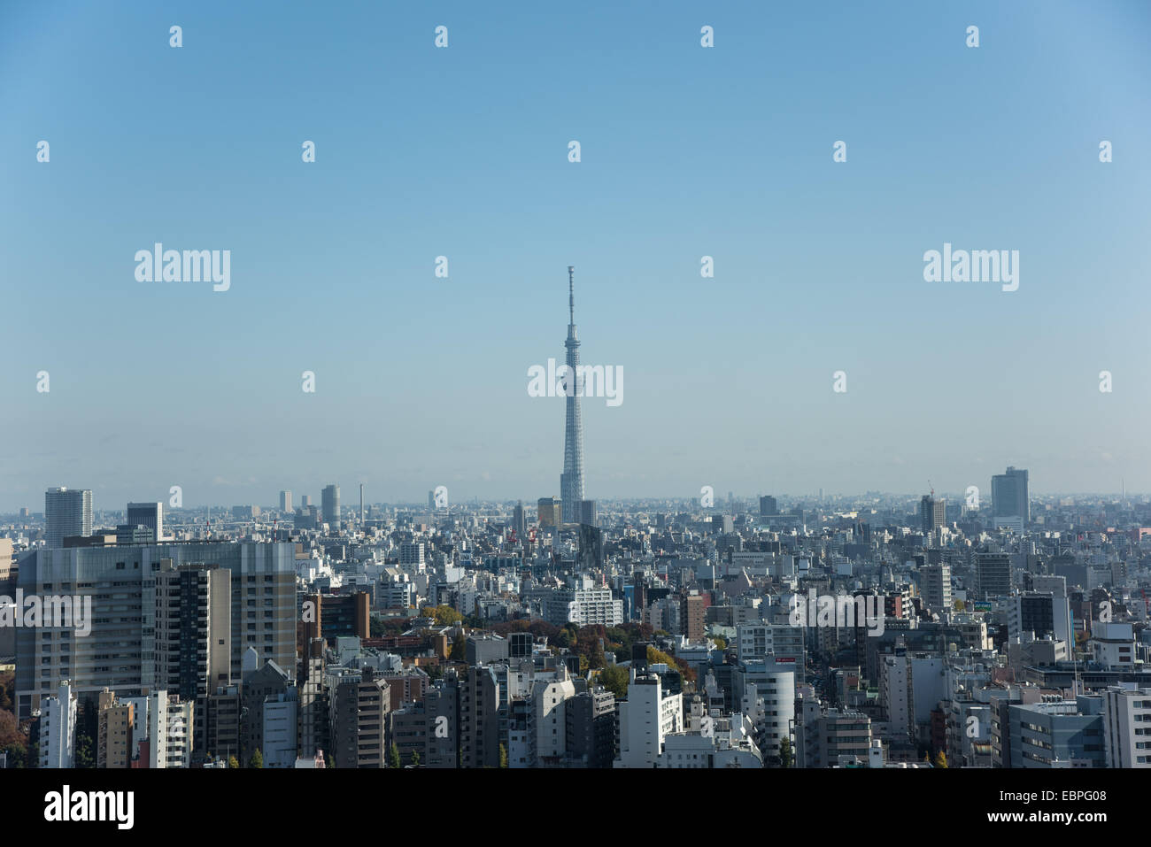 TOKYO SKYTREE, Sumida-Ku, Tokyo, Japan-Blick vom Bunkyo Behördenviertel Stockfoto