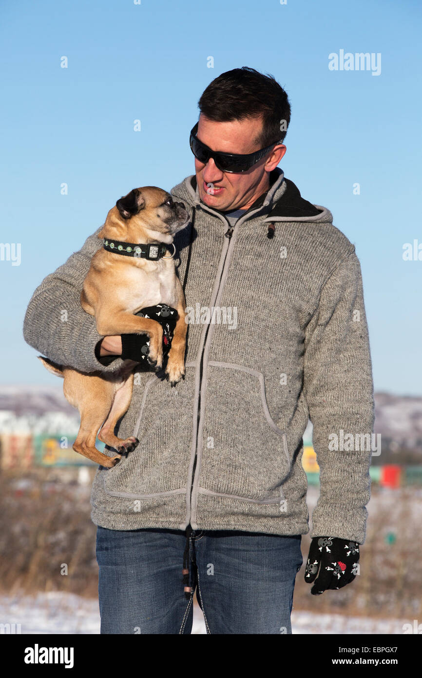 Mann hält seinen Bugg (Kreuzung Boston Terrier und Pug) Hund, während er im Stadtpark spaziert Stockfoto