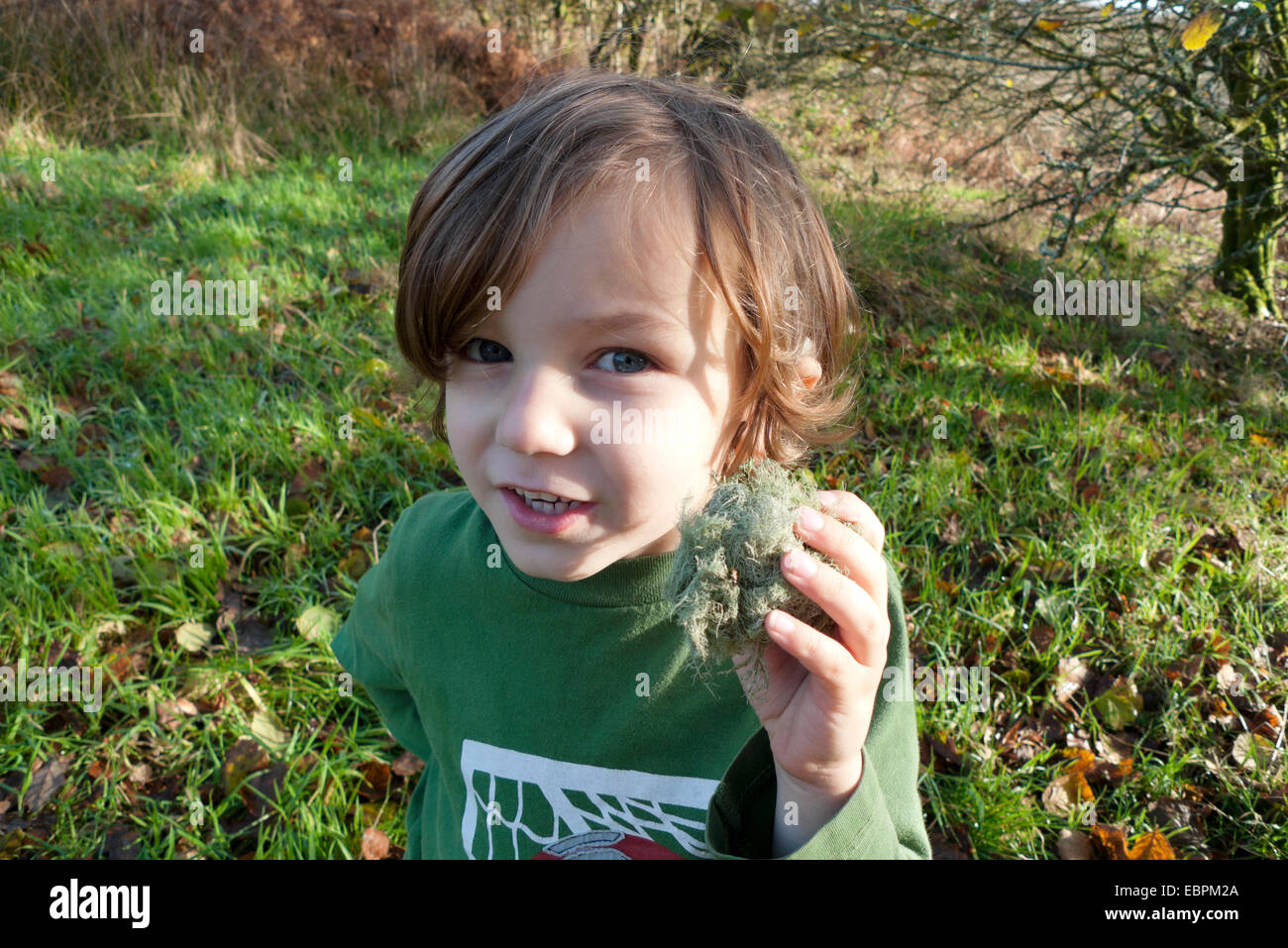 Junge mit Flechten von einem Eichenzweig, der draußen in der Natur im ländlichen Carmarthenshire Wales spielt Stockfoto