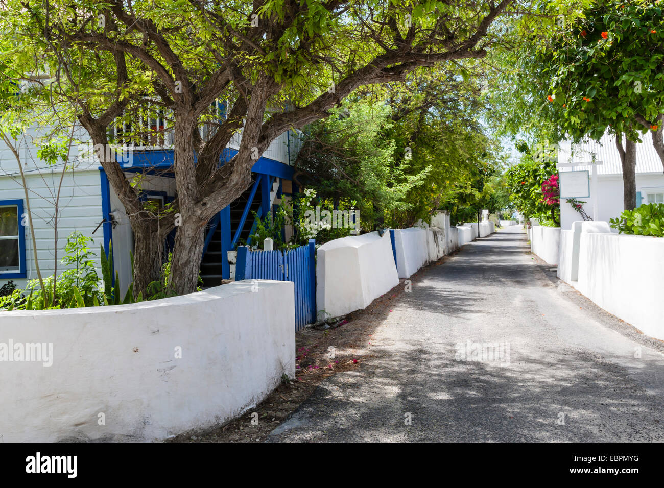 Straße mit Bäumen, Cockburn Town, Grand Turk, Turks- und Caicosinseln, Westindien, Caribbean Stockfoto