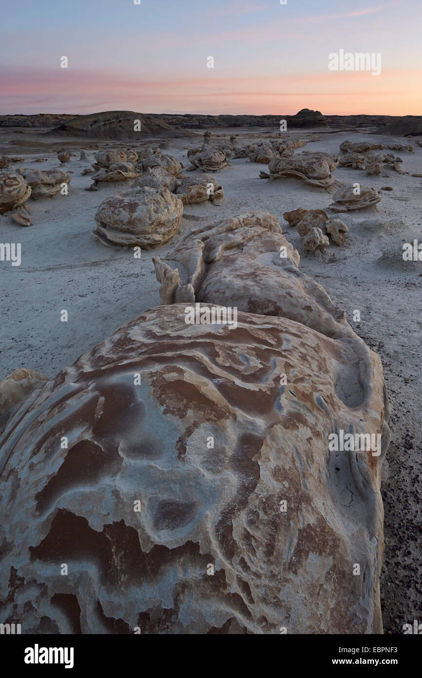 Erodierten Felsen an der Ei-Fabrik, Bisti Wilderness, New Mexico, Vereinigte Staaten von Amerika, Nordamerika Stockfoto
