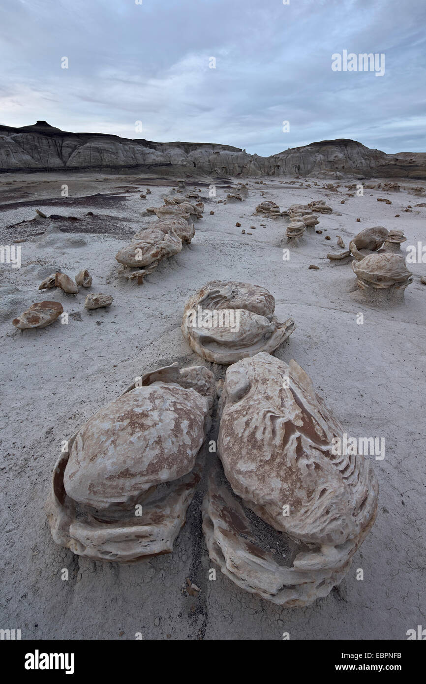 Erodierte Felsbrocken auf die Ei-Fabrik, Bisti Wilderness, New Mexico, Vereinigte Staaten von Amerika, Nordamerika Stockfoto