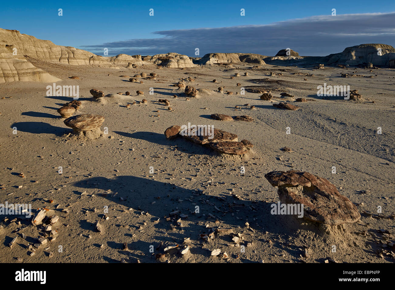 Felsen in den Badlands, Bisti Wilderness, New Mexico, Vereinigte Staaten von Amerika, Nord Amerika Stockfoto