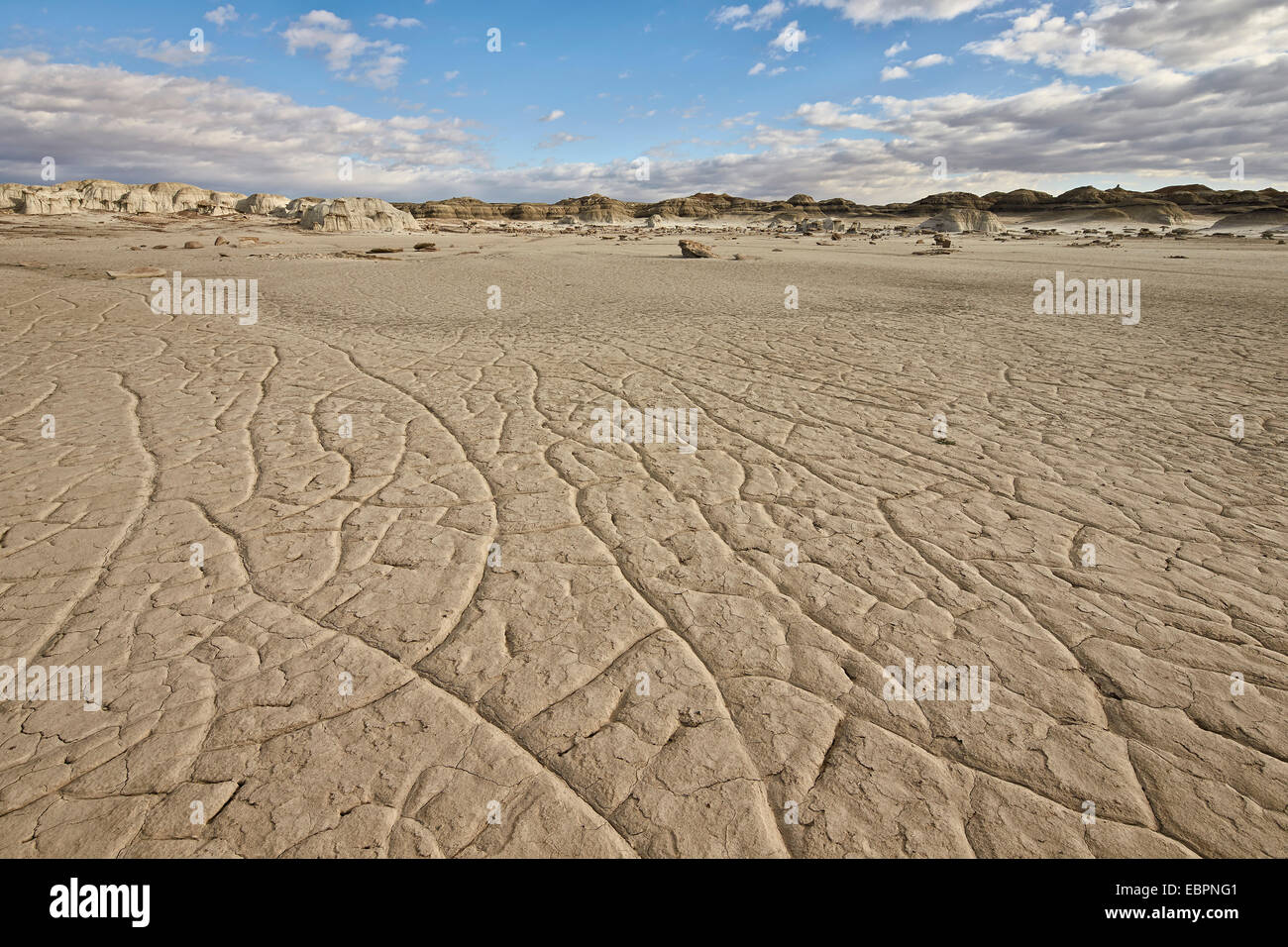Boden, geknackt, Bisti Wilderness, New Mexico, Vereinigte Staaten von Amerika, Nordamerika Stockfoto