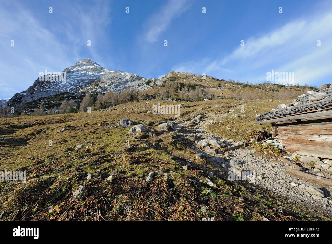 Ansicht des Berges Watzmann aus der Falzalm Alm, Ramsau, Berchtesgaden, Deutschland Stockfoto
