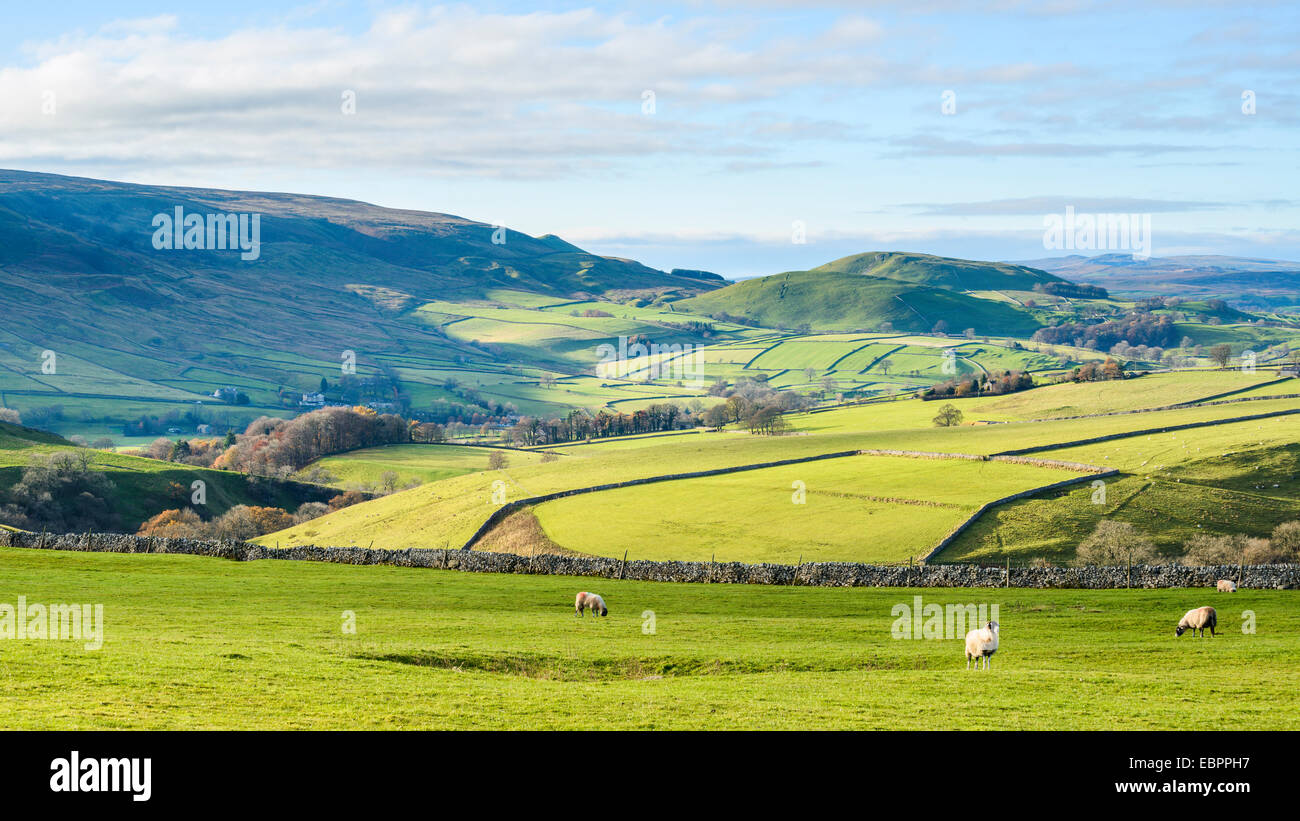 Blick Richtung Elbolton, Kail Hill und Stebden Hügel aus Appletreewick Weiden im Herbst, North Yorkshire, Yorkshire, England, UK Stockfoto
