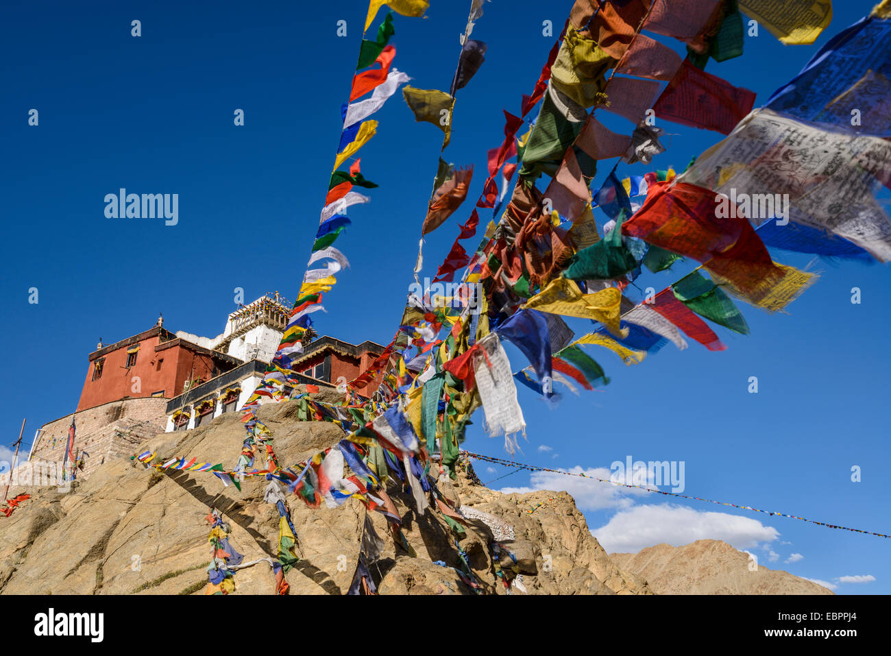 Gebetsfahnen im Namgyal Tsemos Kloster in Leh, Ladakh, Himalaya, Indien, Asien Stockfoto