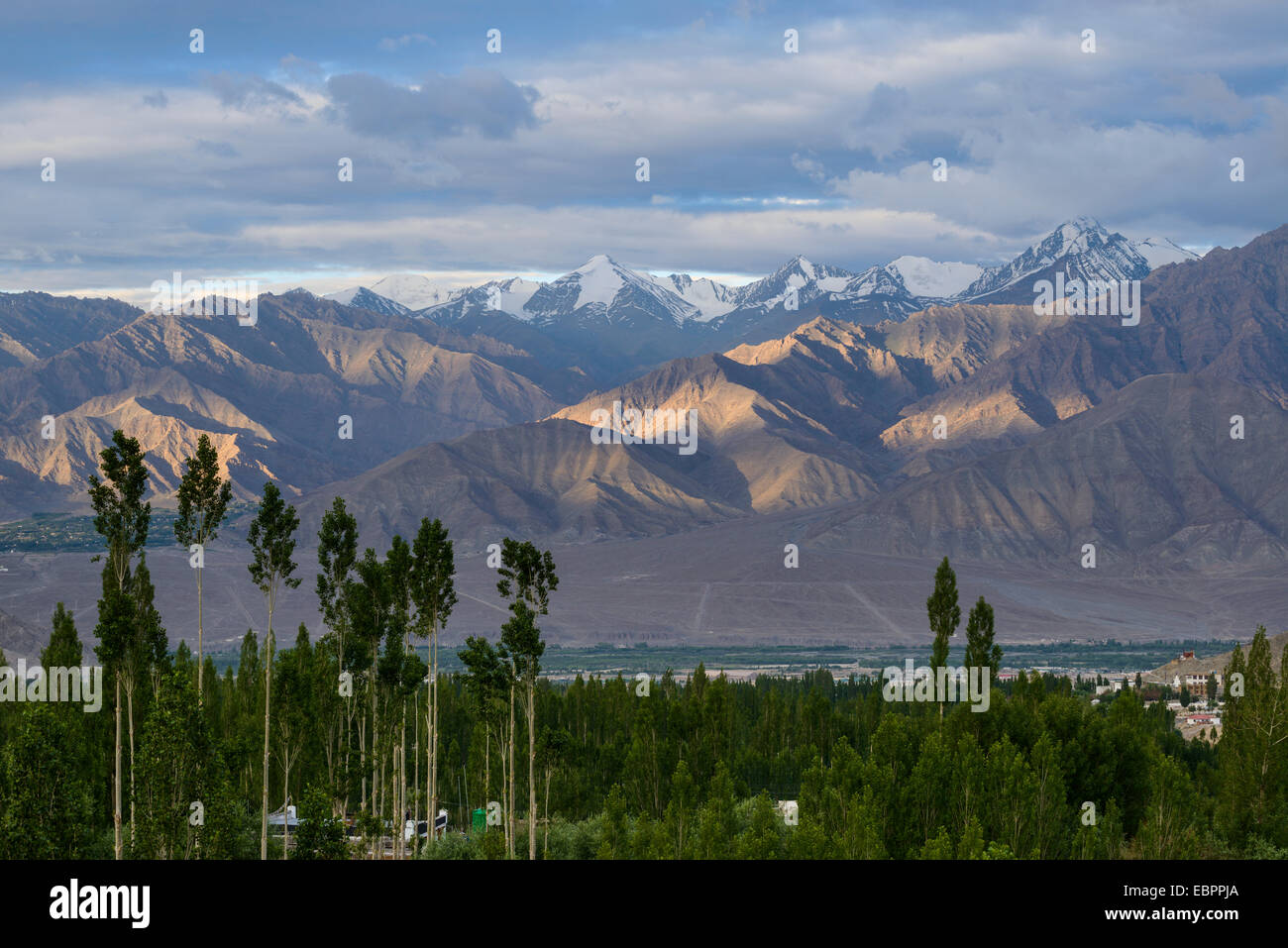 Berge und Pappeln bei Sonnenaufgang von Leh, Ladakh, Himalaya, Indien, Asien Stockfoto