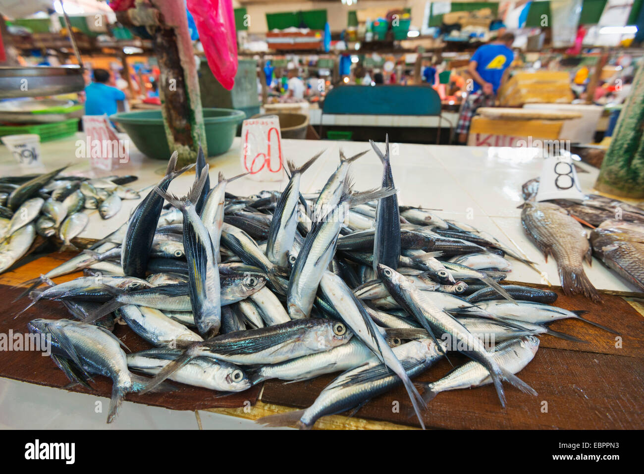 Fisch zum Verkauf auf dem öffentlichen Markt, Dumaguete, Cebu, die Visayas, Philippinen, Südostasien, Asien Stockfoto