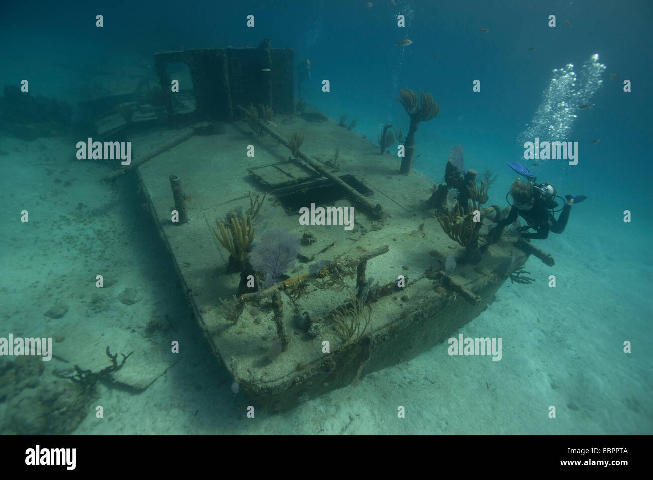 Lastkahn Wrack in den Bahamas, Karibik, Mittelamerika Stockfoto