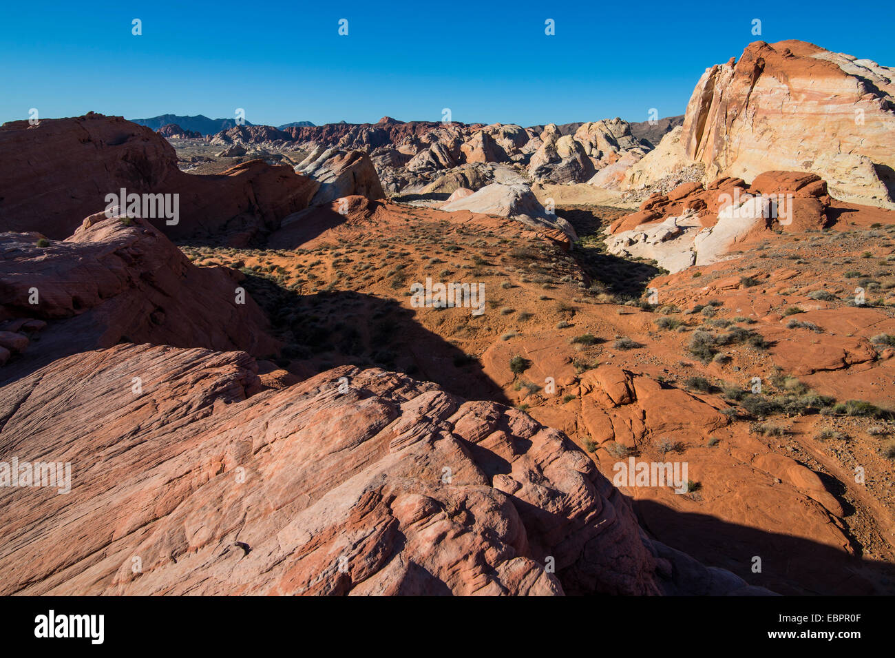 RedRock Sandstein-Formationen bei Sonnenaufgang im Valley of Fire State Park, Nevada, Vereinigte Staaten, Nordamerika Stockfoto