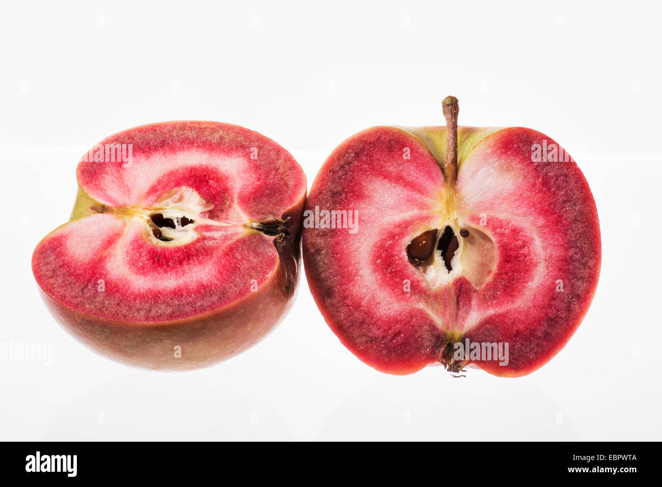 kontinuierliche rote Apfelzüchtung neue Stockfoto
