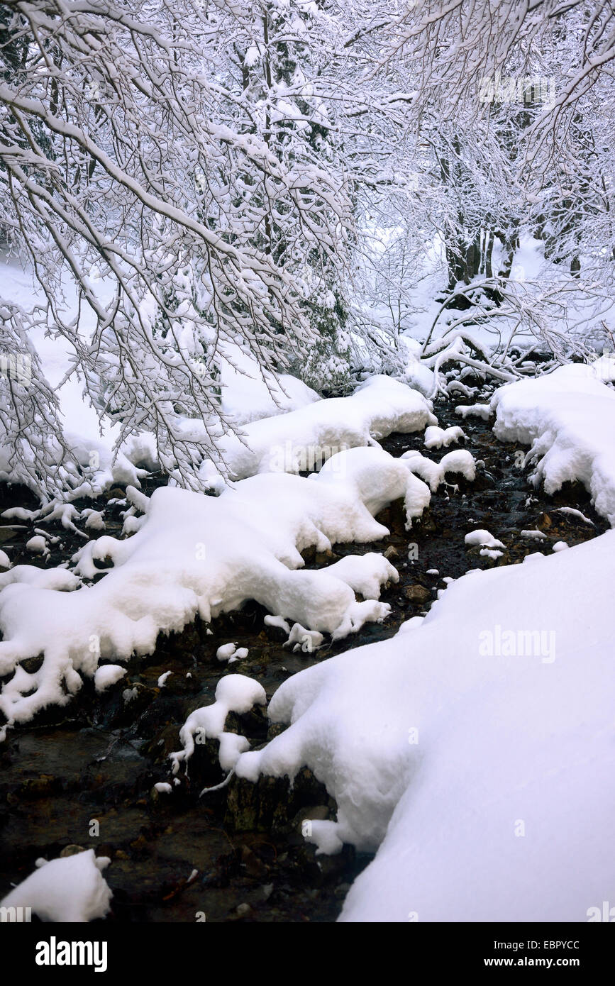 schneebedeckten Creek, Frankreich, Vercors-Nationalpark Stockfoto