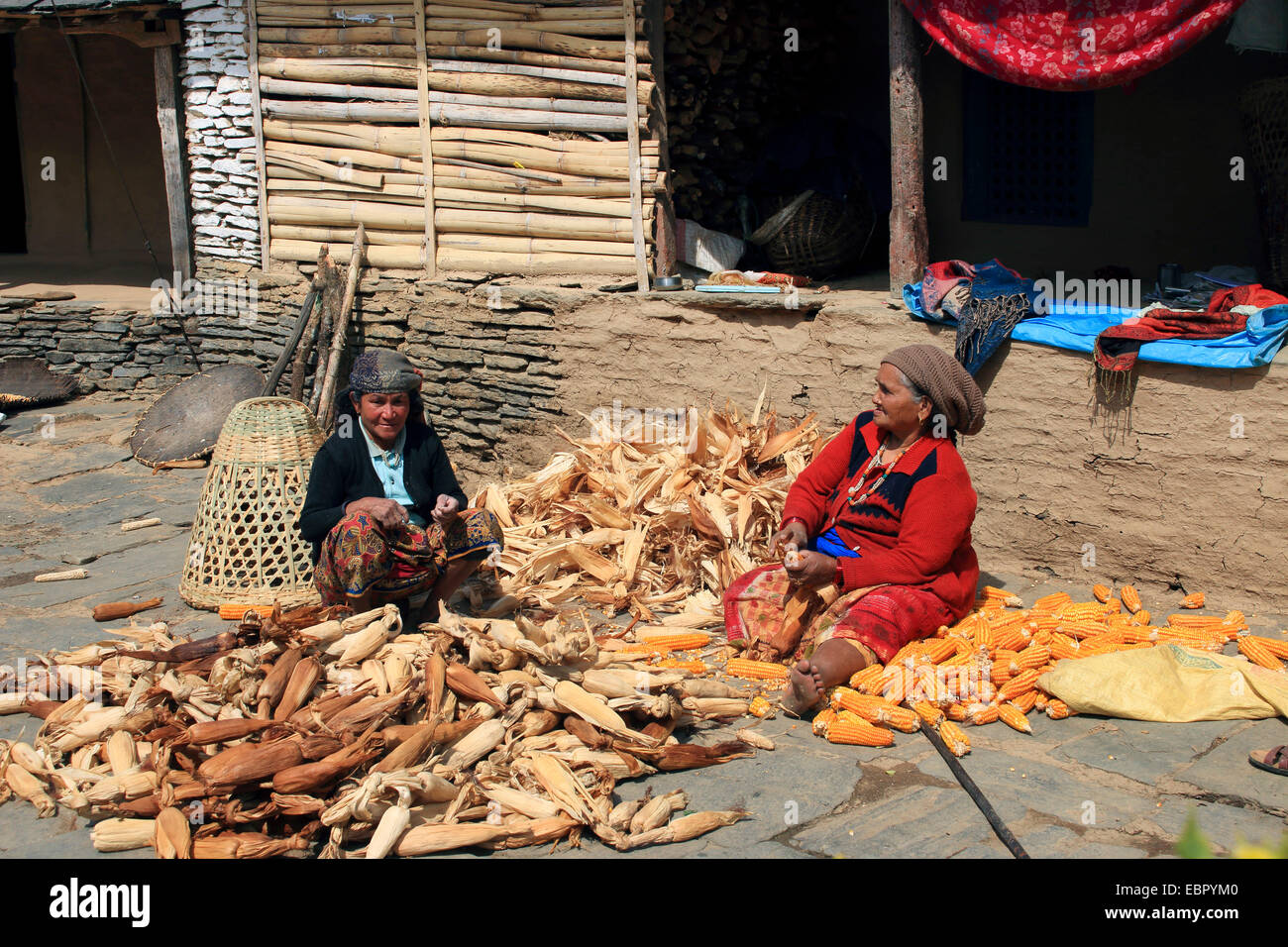 zwei ältere Frauen schälen Maiskolben, Himalaya, Nepal, Kathmandu, Pokhara Stockfoto