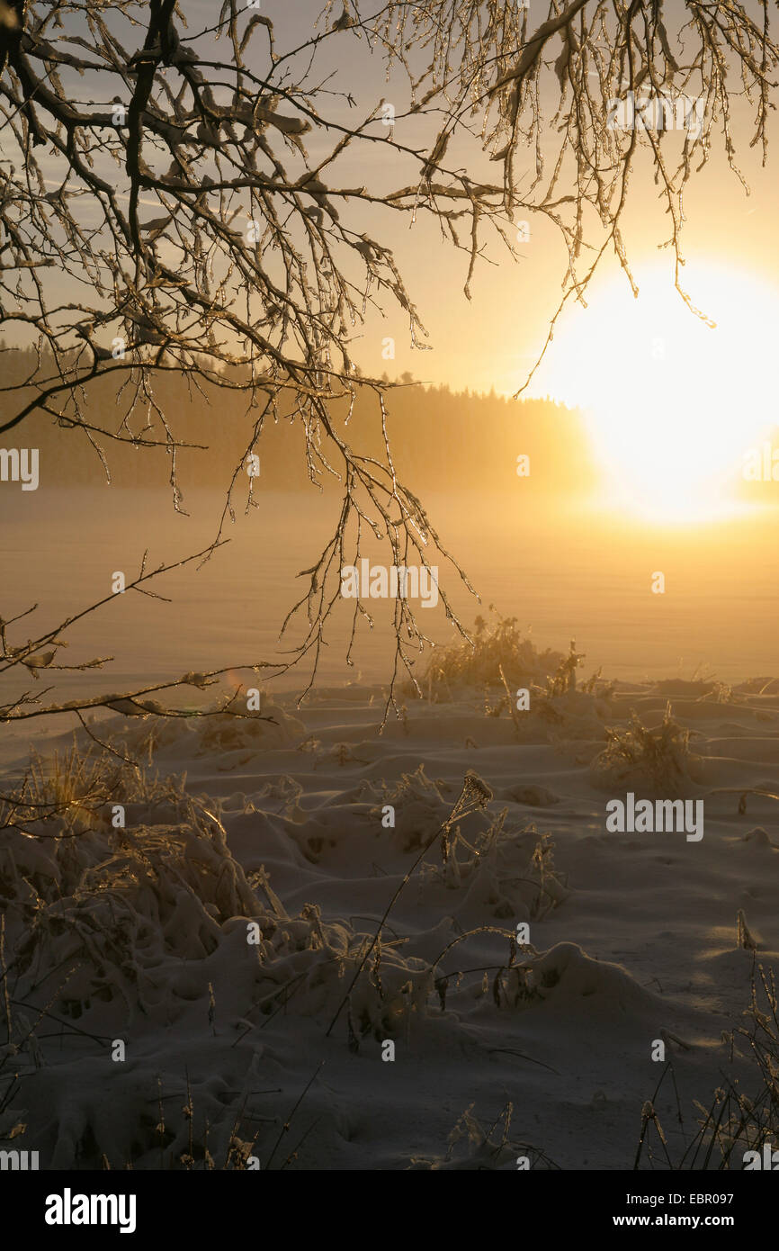 Winter Sonnenuntergang, Deutschland, Sachsen, Muldenberg Stockfoto