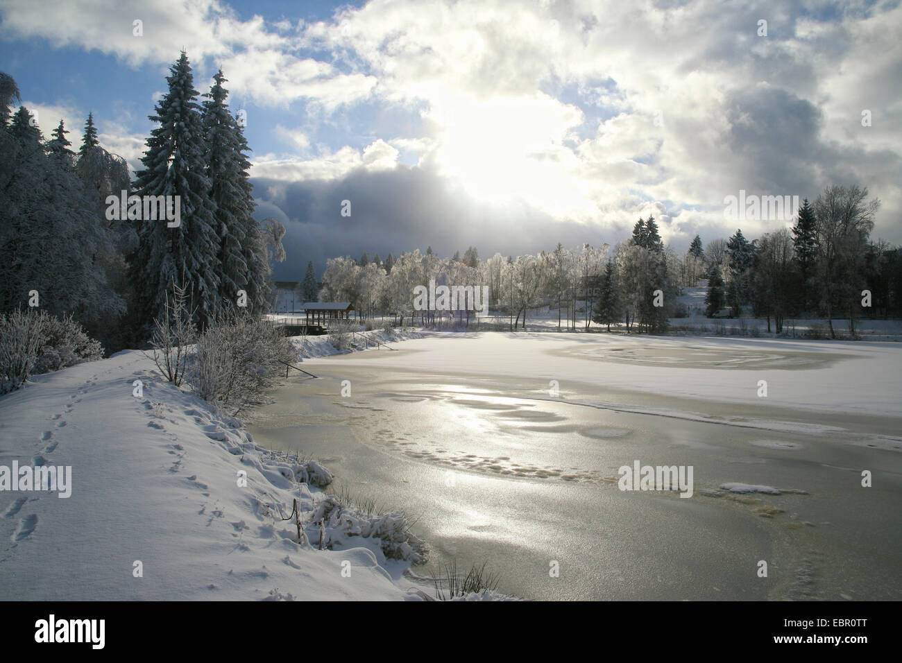 Winter in einen See, Deutschland, Sachsen, Muldenberg Stockfoto