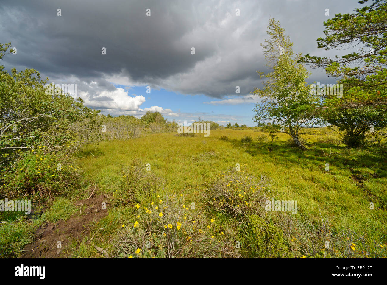 nähert sich Gewitter über das Naturschutzgebiet Moeckelmossen auf Oeland, Schweden, Oeland, Stora Alvaret Stockfoto