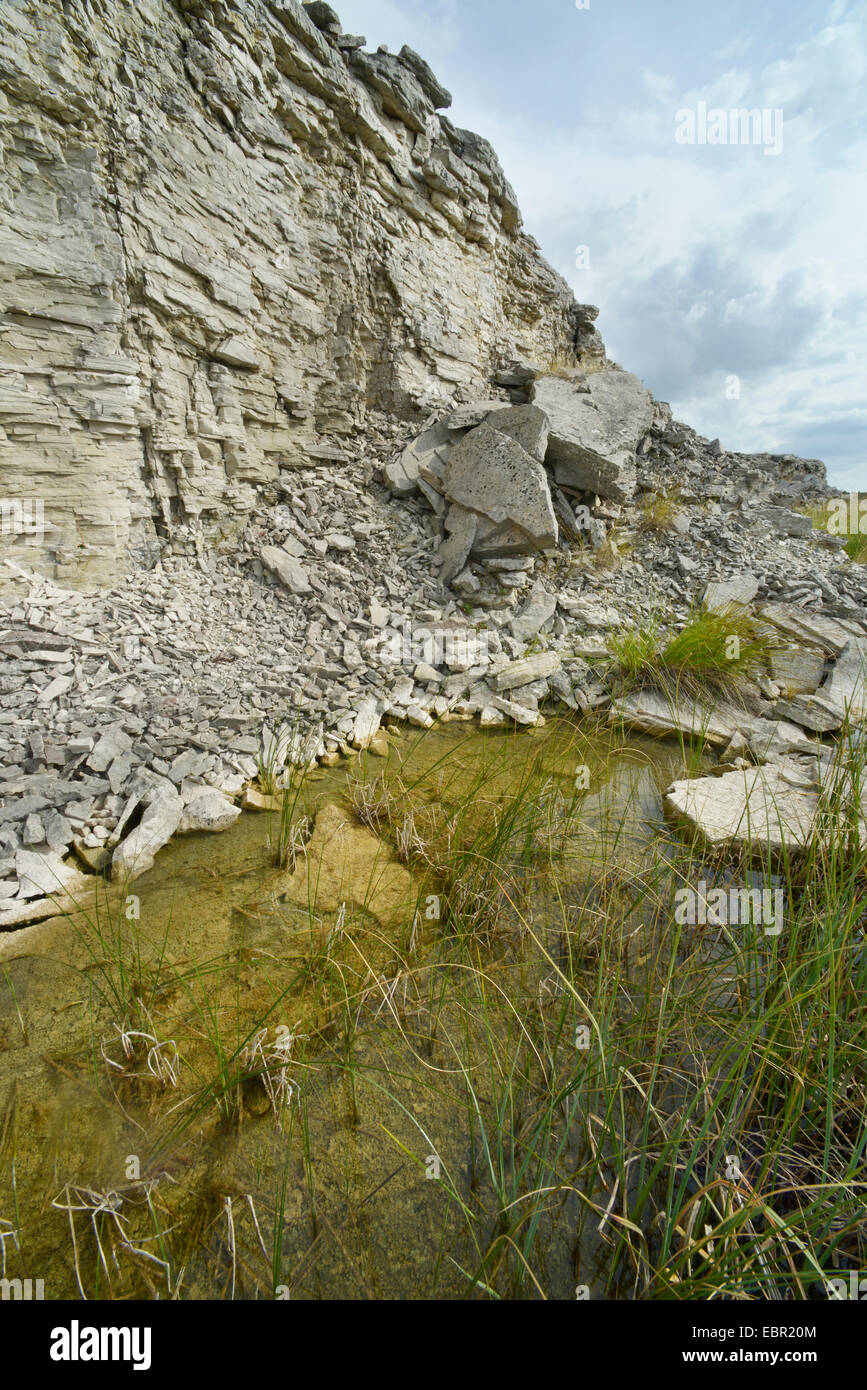 Teich in geschlossenen Steinbruch, Schweden, Nyrejsetrask, Gotland Stockfoto