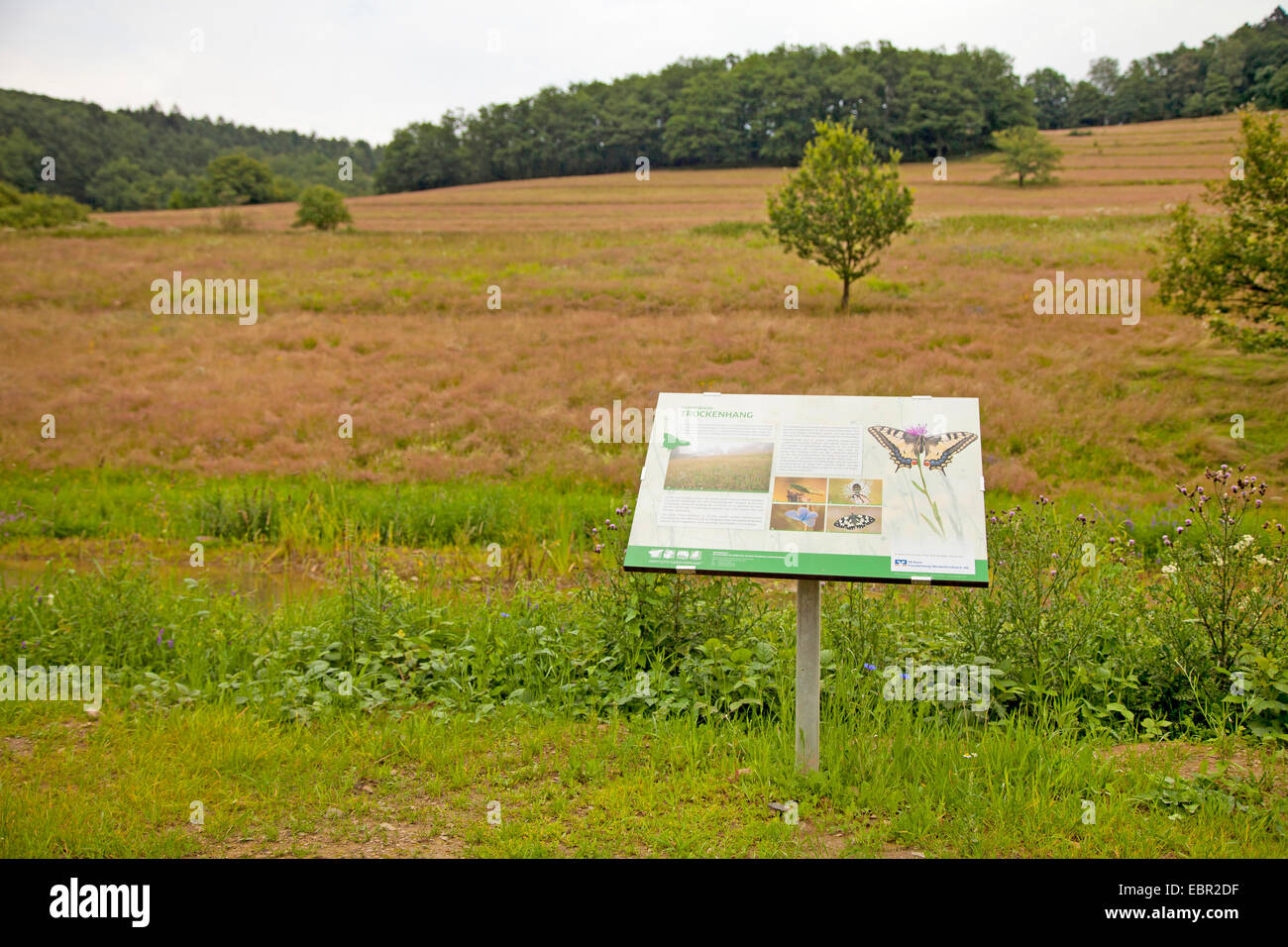 Info-Tafel zeigt die einheimischen Tiere und Pflanzen, Deutschland, Rheinland-Pfalz, Niederfischbach Stockfoto