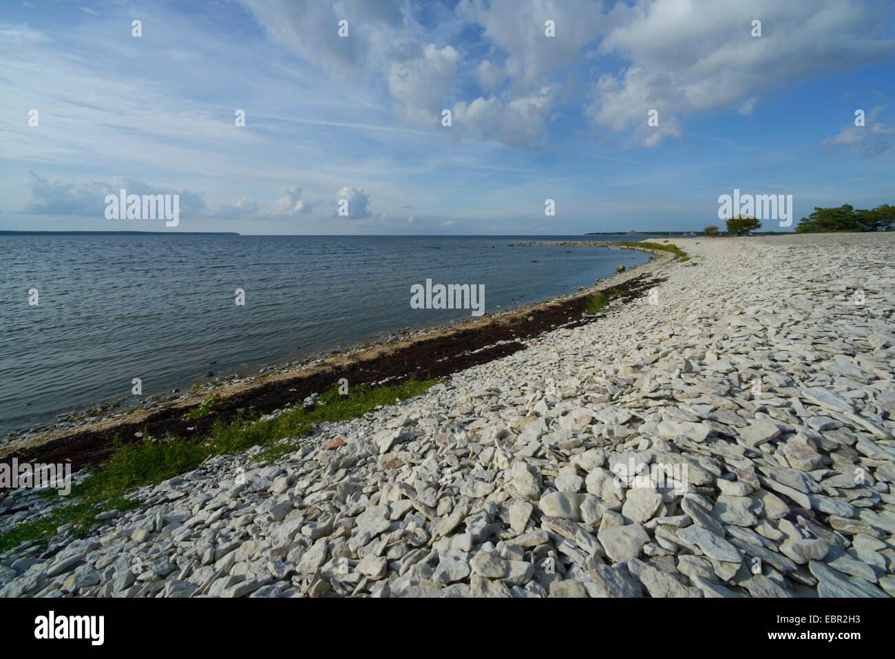 steiniger Strand von Gotland, Schweden, Gotland Stockfoto