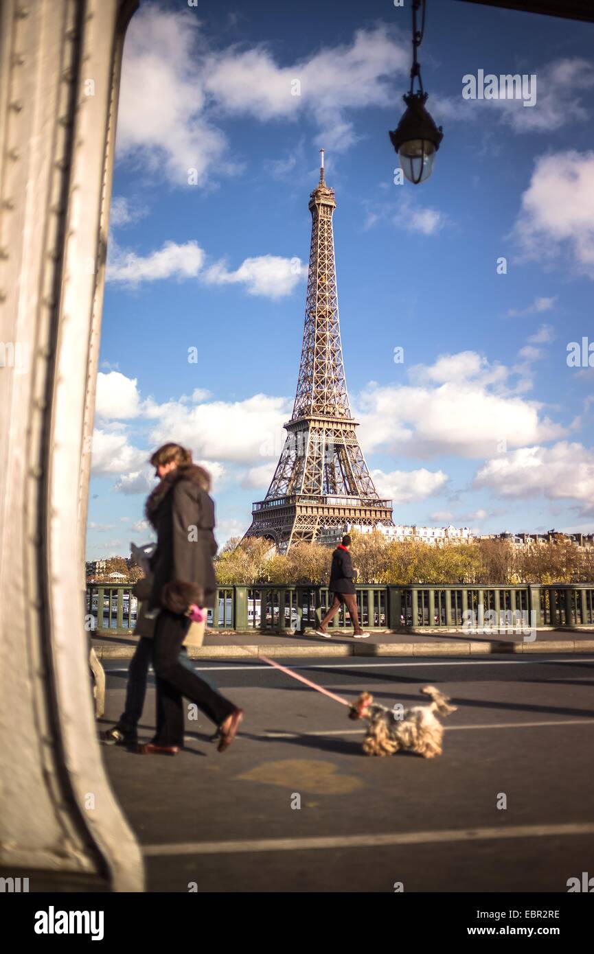 Der Eiffelturm, Paris im Herbst. 25.11.2012 - Sylvain Leser Stockfoto