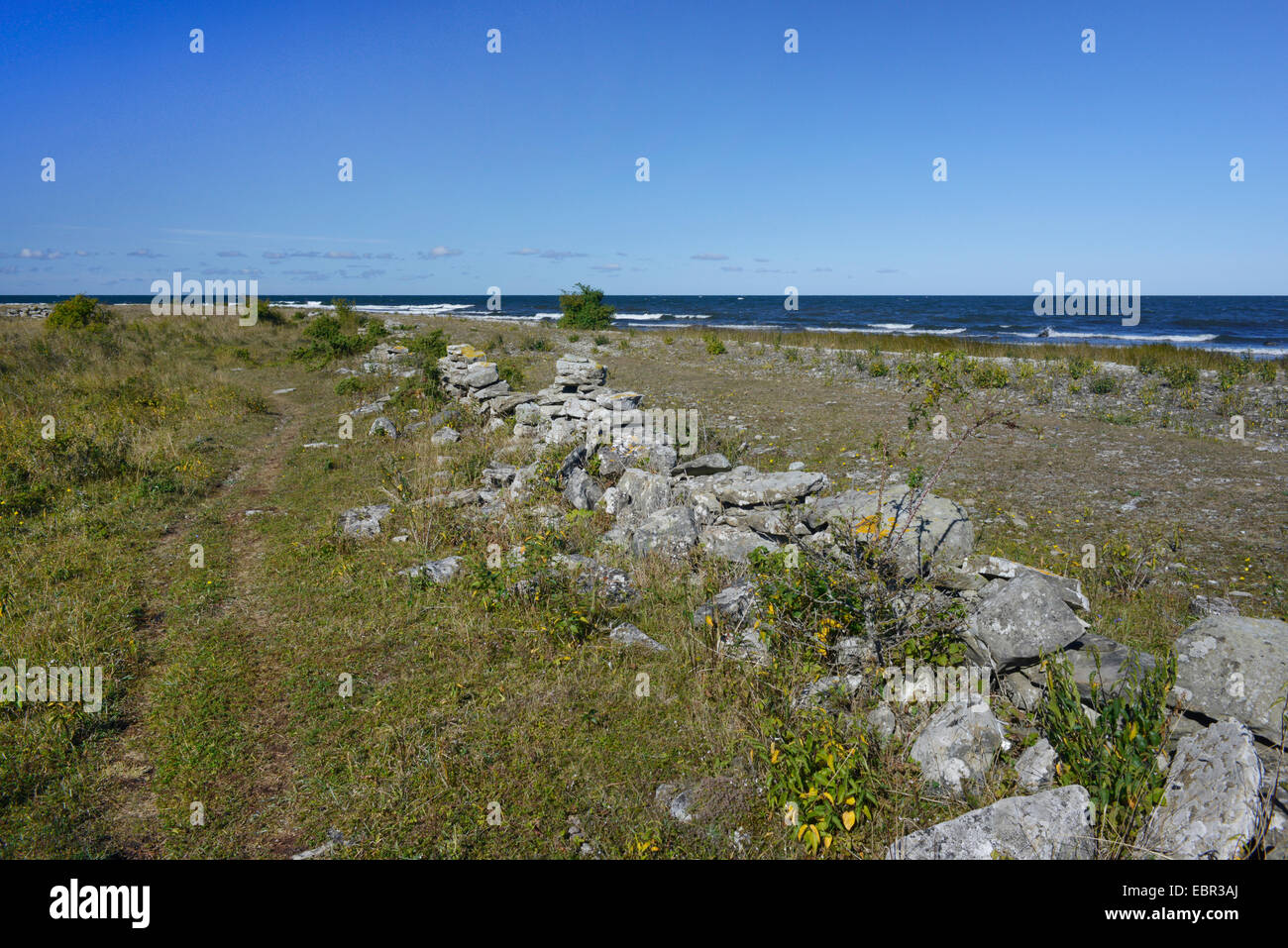 alten Trockensteinmauer in der Nähe von dem Strand Hoburgen auf Gotland, Schweden, Hoburgen, Gotland Stockfoto