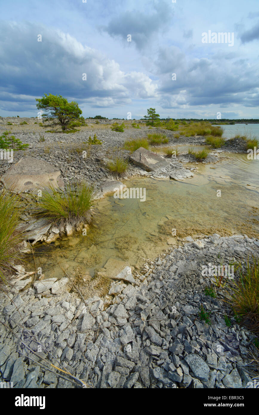 Teich in geschlossenen Steinbruch, Schweden, Nyrejsetrask, Gotland Stockfoto