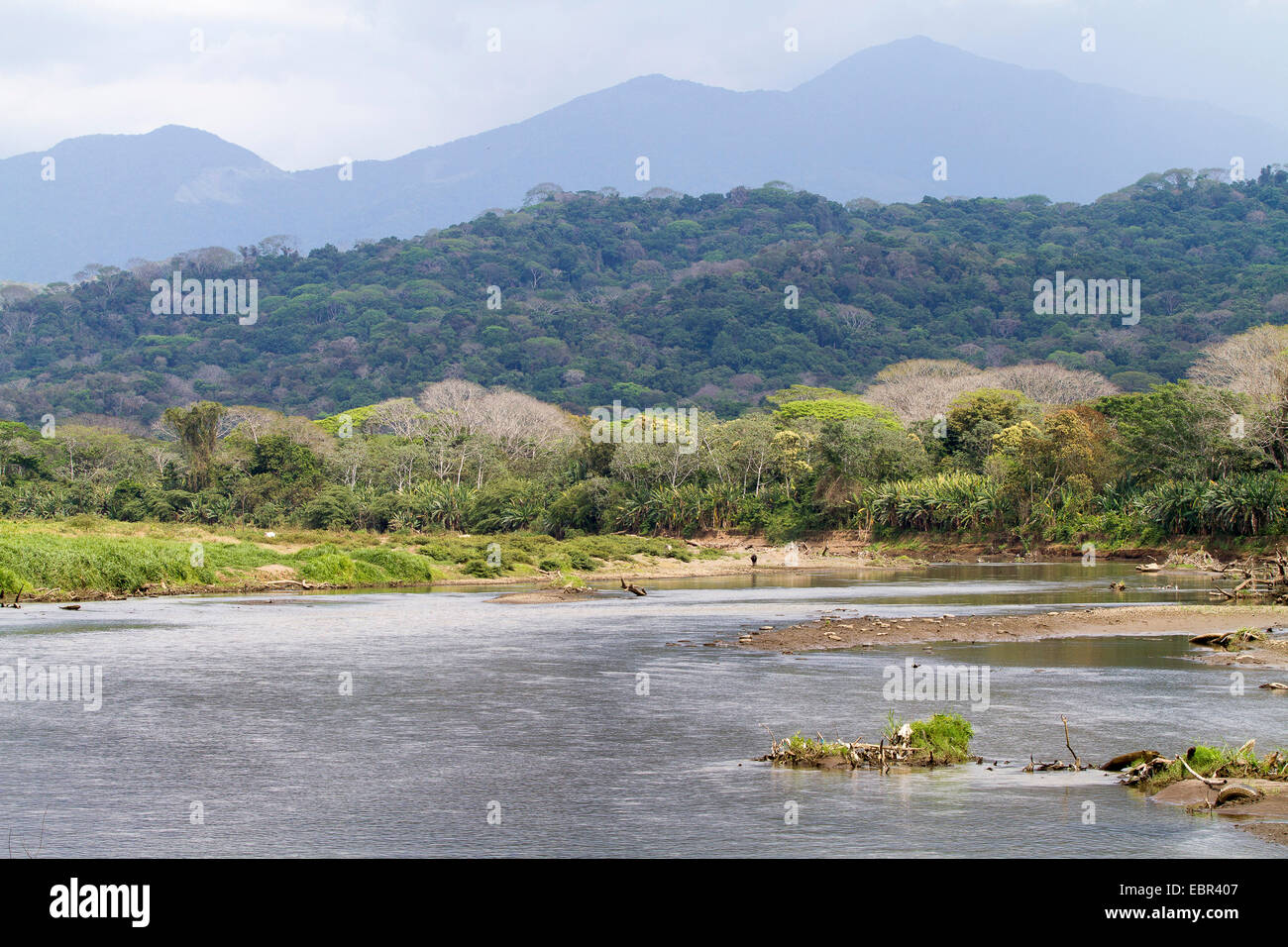 Rio Tarcoles nahe der Mündung des Wasser in den Pazifischen Ozean in der Trockenzeit, Costa Rica, Rio Tarcoles Stockfoto