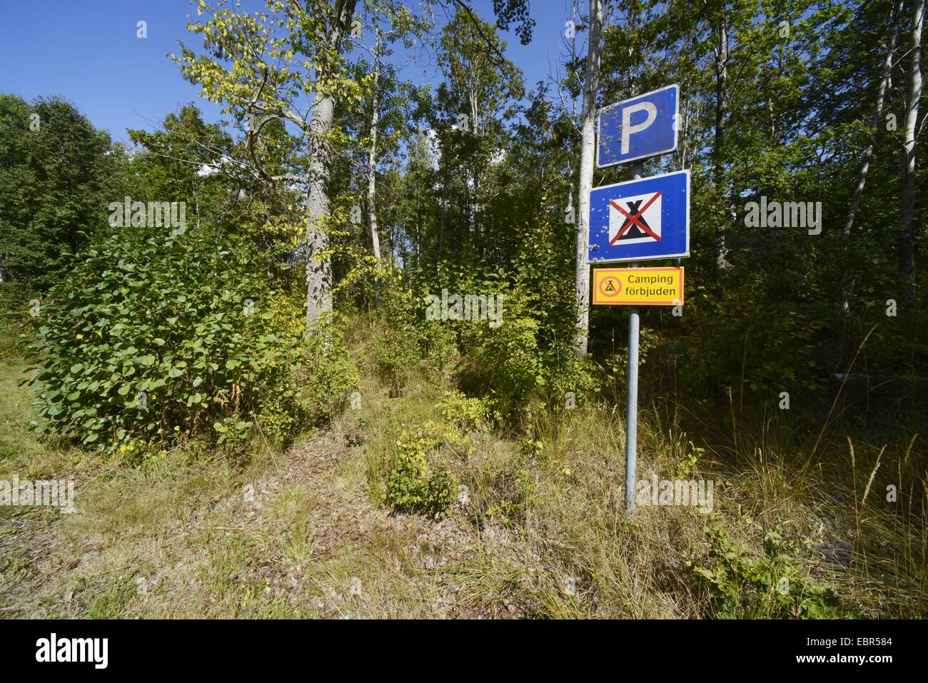 schwedische Zeichen auf einem Parkplatz, Schweden, Smaland kein camping erlaubt werden. Stockfoto