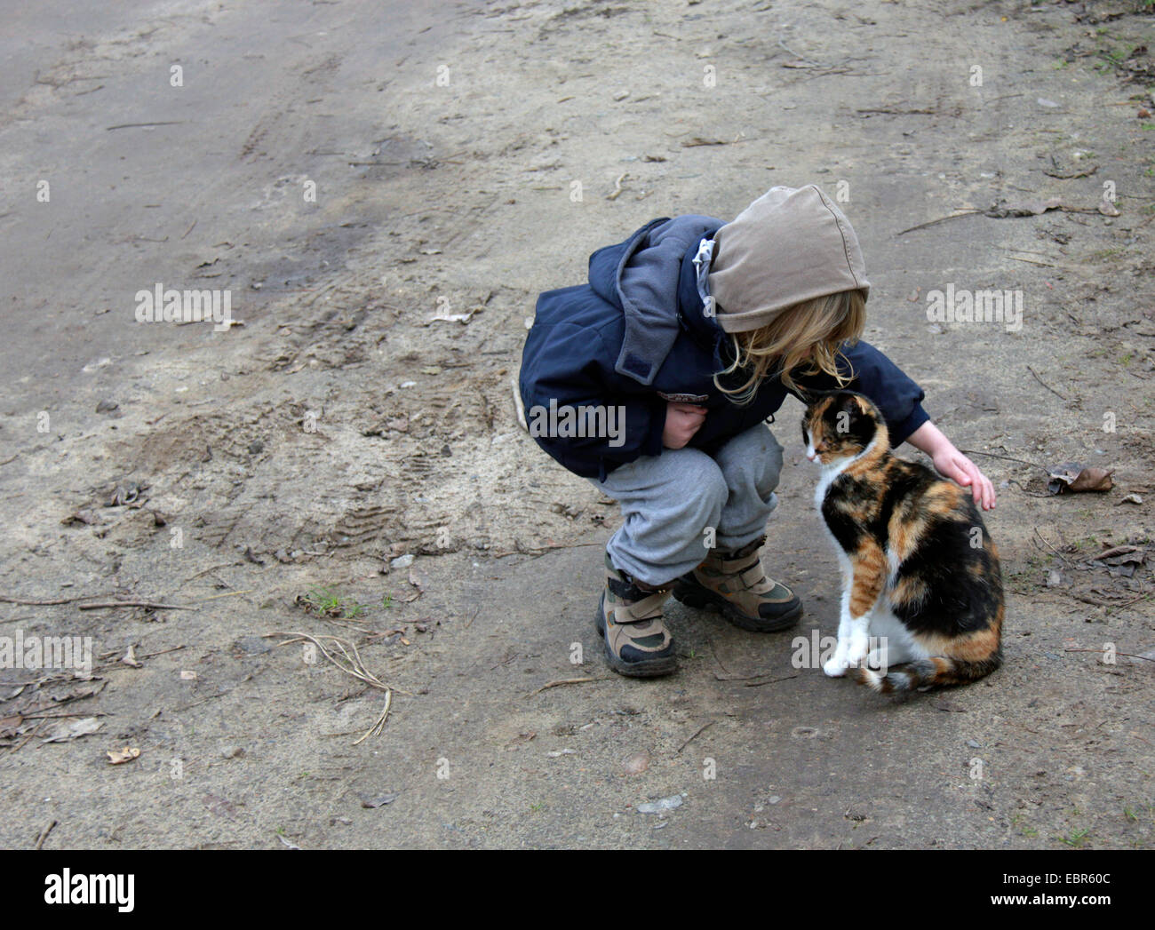 Hauskatze, Hauskatze (Felis Silvestris F. Catus), junge streicheln einer Katze, Deutschland, Brandenburg Stockfoto